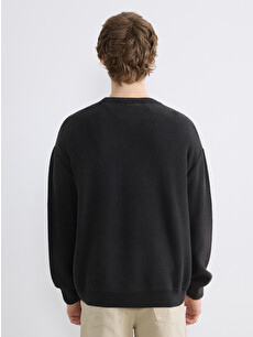 XSIDE Crew Neck Embossed Knit Sweater - S6JN86Z8-HZX | LC Waikiki