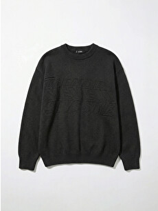 XSIDE Crew Neck Embossed Knit Sweater - S6JN86Z8-HZX | LC Waikiki