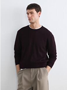 LCW Vision Crew Neck Men's Knitwear Sweater - S6KQ25Z8-ZQP | LC