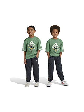 Gri