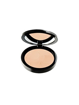 Pastel Profashion Compact Powder 45 11g