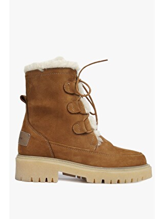 Taba