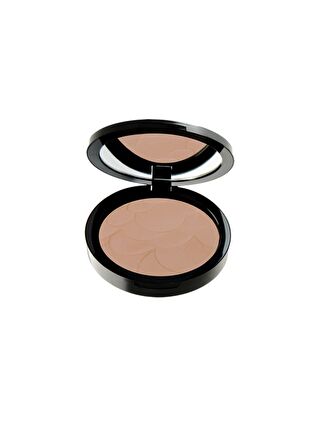 Pastel Profashion Compact Powder 35 11g