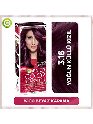 Garnier Çarpıcı Renkler Saç Boyası 3.6 Yoğun Küllü Kızıl