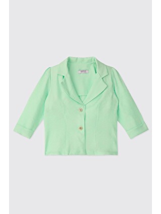 Mint Yeşil