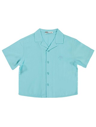 Mint Yeşil