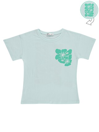Mint Yeşil