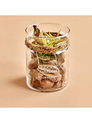 Bej-Açık Kahverengi