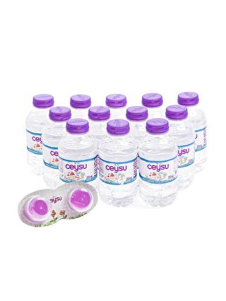 Ceysu Doğal Kaynak Suyu 12x200 ml