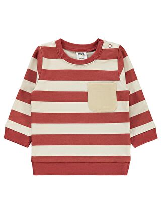 Civil Kahverengi Baby Erkek Bebek Sweatshirt 6-18 Ay Kiremit