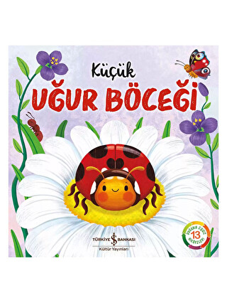 Renksiz