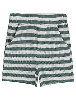 Orman Yeşili