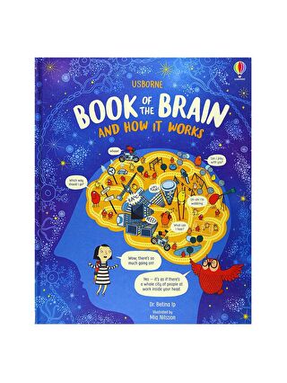 Usborne Book of The Brain and How It Works