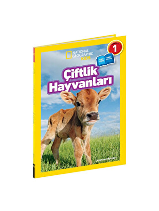 Renksiz