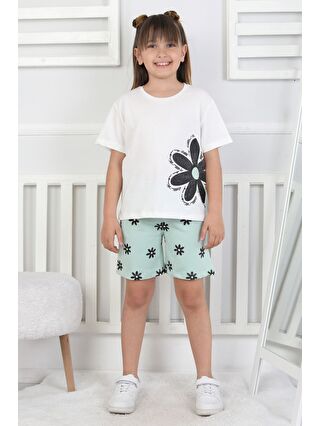 Mat Fıstık Yeşili