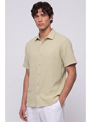 Mint Yeşil