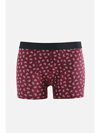 Bordo