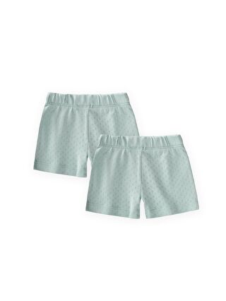 Mint Yeşil