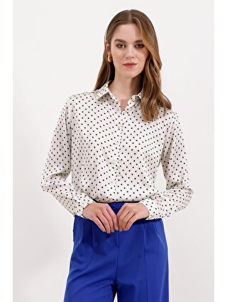 Kahverengi-Siyah-Ekru