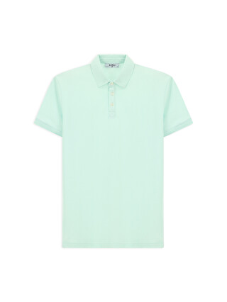 Mint Yeşil