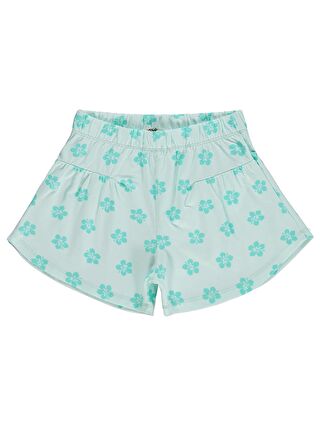 Mint Yeşil