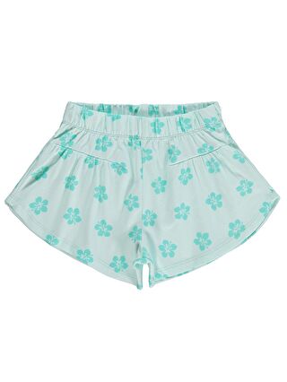 Mint Yeşil