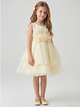 Sarı