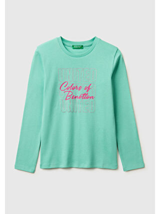 Mint Yeşil