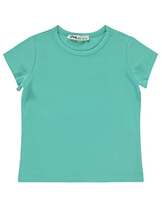 Mint Yeşil