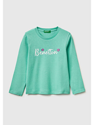 Mint Yeşil