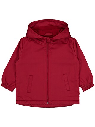 Bordo