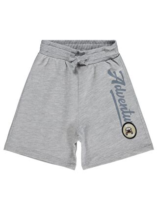 Gri