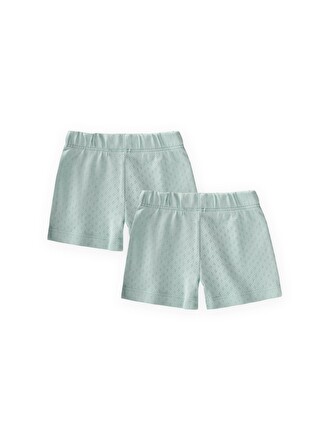 Mint Yeşil