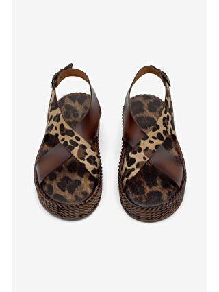 Taba