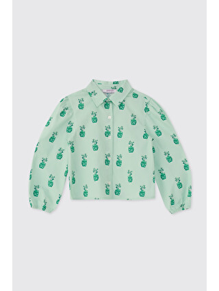 Mint Yeşil