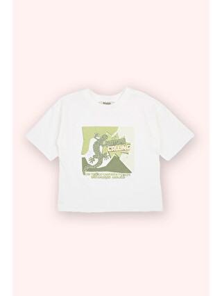 Ekru