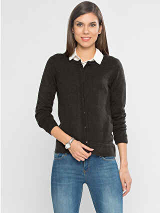 لون رمادي سليت