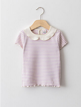 Lilac Striped