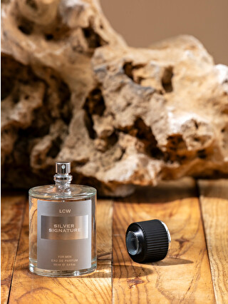 希少エロイカEau de Toilette for Men T.2508 LCW ACCESSORIES Silver Signature Men's Perfume 100 Ml - S4EQ69Z8