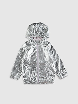 Silver Grey