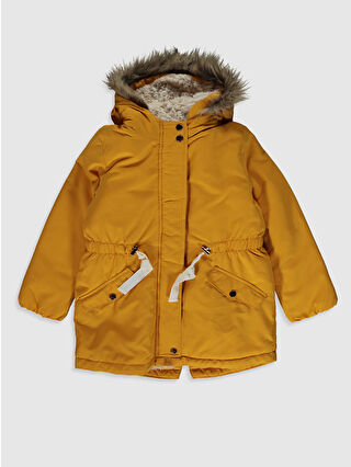 Dark Yellow