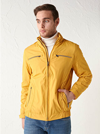 Dark Yellow