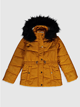 Dark Yellow