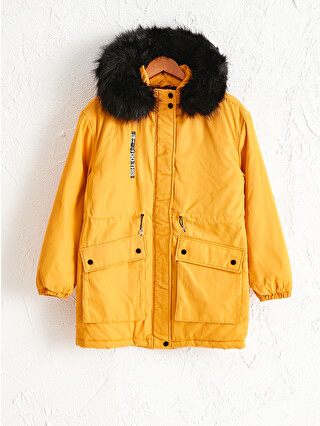 Ochre