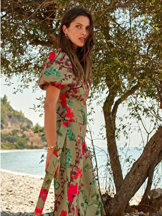 لون أخضر زيتوني فاتح