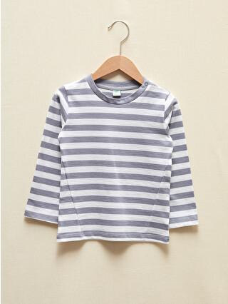 Grey Striped