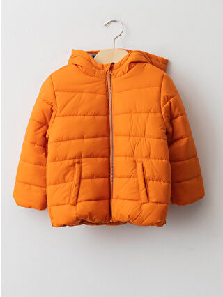 Burnt Orange