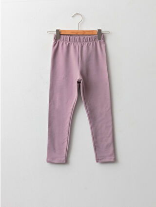 Dark Lilac