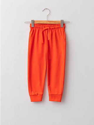 Bright Orange
