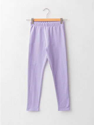 Dark Lilac